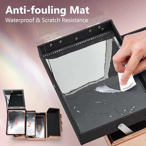 Rose Gold Makeup Case Organizer with Mirror - Travel Train Box & Storage
