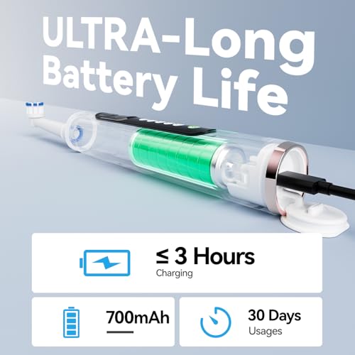 SEAGO Pink Rotating Electric Toothbrush for Adults with 8 Heads & Rechargeable, Travel Case