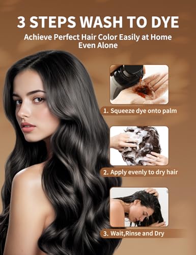 AKOIIN Black Hair Dye Shampoo for Gray Hair - Natural Black 3 in 1 Wash & Dye