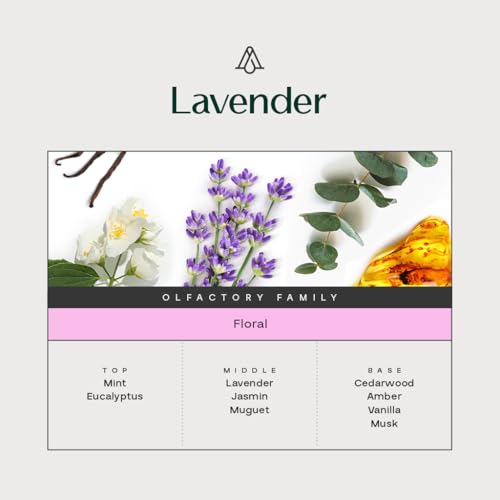 AROMAPLAN Lavender Diffuser Oil 2-Pack – 5.07 Fl Oz Each, Hotel Scent, Pure Fragrance for Waterless & Water-Based Diffusers