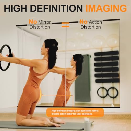 Delma 48''x24'' Frameless Full Body Gym Mirrors 2-Pack - Black Frame