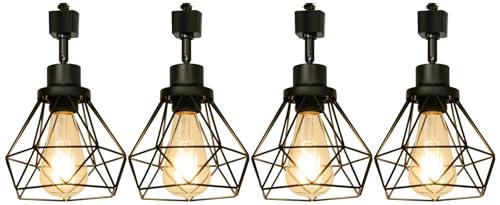 E26 Track Lighting Heads with Metal Cage - Adjustable 4-Light Black Fixture