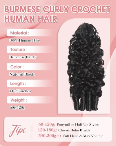 Natural Black Burmese Curly Crochet Hair 120g 20 Inch Knotless Pre-Separated