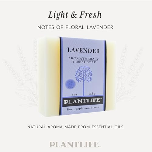 Plantlife Lavender 6-pack Bar Soap - Moisturizing and Soothing Soap for Your Skin - Hand Crafted Using Plant-Based Ingredients - Made in California 4oz Bar