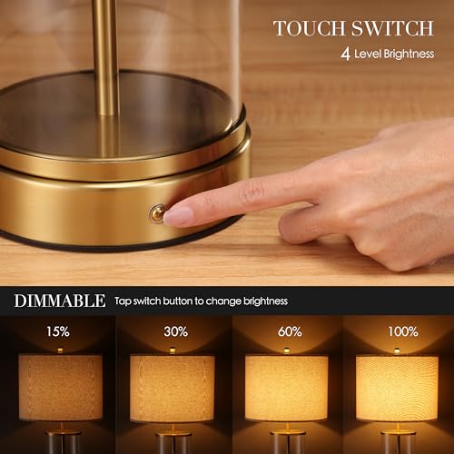 Cordless Glass Bedside Table Lamp with Rechargeable 10,000mAh Battery - Antique Brass, 24-Inch