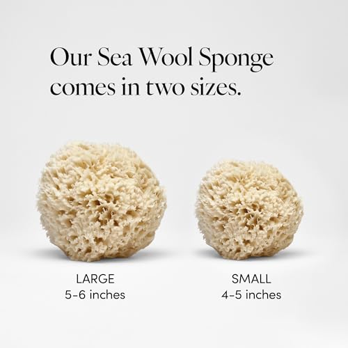 LATHER Natural Sea Wool Sponge (5-6 in) Large Exfoliating Body Scrubber
