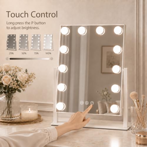 Makeup Mirror with Lights 10X Magnification 16.5 x 13.1 inch - Homtang