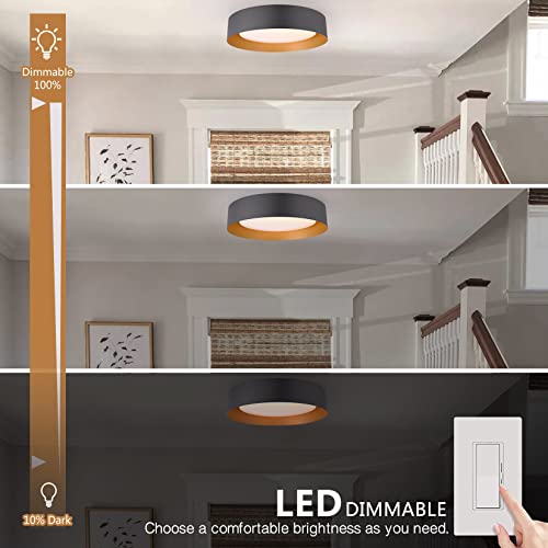 16.5-Inch Matte Black Flush Mount Ceiling Light with Gold Interior - Modern Minimalist Design