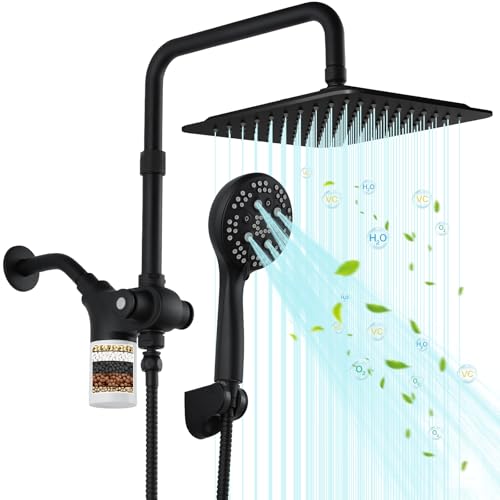 VXV Matte Black 10-Inch Filtered Dual Shower Head Set with Handheld & Rain Sprays