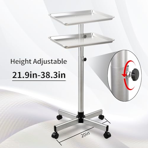 Salon Tray on Wheels, Hair Color Tray Salon Service Rolling Cart with Adjustable Height, Metal Tattoo Trolley Tray for Spa&Home Use, Silver