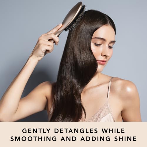 The Hair Edit Finish & Shine Boar Bristle Hair Brush - Gold, Regular