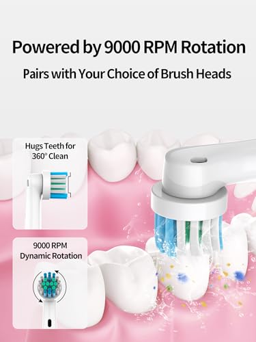 White Rotating Electric Toothbrush - Gentle on Gums, 4 Modes, Waterproof