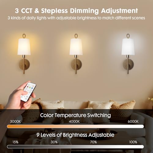 HILUXIA Set of 2 Battery-Operated Boho Wall Sconce Lamps with Remote, Rechargeable LED Rattan Gold Light Fixtures for Bedroom & Living Room