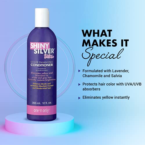 Silver Color-Enhancing Hair Conditioner for Gray & Blonde Hair - 2 Pack 12oz
