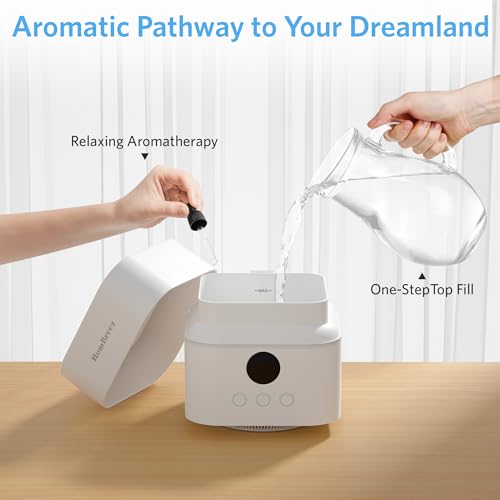 HomBreez 3-in-1 Air Purifier Humidifier Combo - Standard
