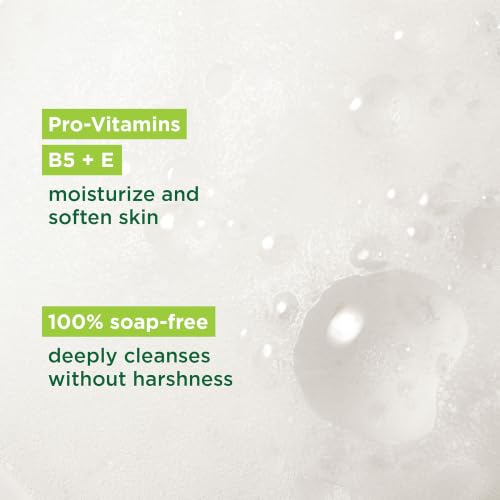 Simple Kind To Skin Moisturizing Face Wash Pack of 6 - 5.1 Fl Oz Each