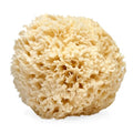 LATHER Natural Sea Wool Sponge (5-6 in) Large Exfoliating Body Scrubber