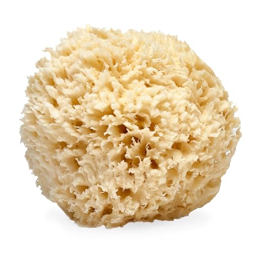 LATHER Natural Sea Wool Sponge (5-6 in) Large Exfoliating Body Scrubber