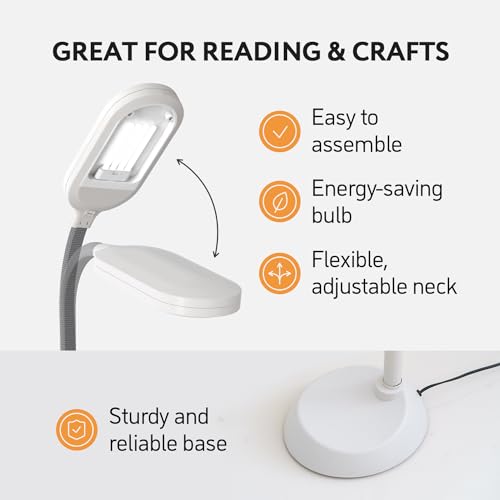 Gray Kenley Natural Daylight Floor Lamp with Adjustable Gooseneck