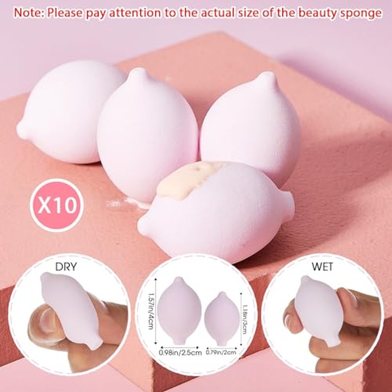 20 Pcs Travel Makeup Brush Set, 10 Mini Travel Brush Set with Bag and 10 Makeup Sponge Princess Party Favor Valentine's Day Gift for Women Home Party(Pink)