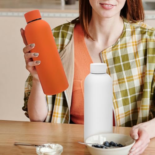 16 Pack Stainless Steel Insulated Water Bottles - 17oz Travel & Sports Bottles