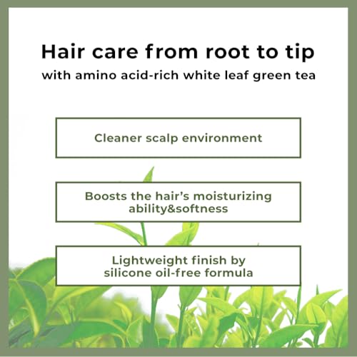 Korean Green Tea Hair Mask - Deep Nourishing Treatment for Hair Growth & Moisture - Renewal