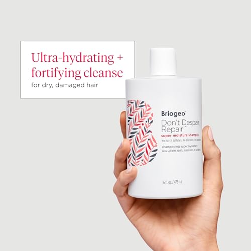 Briogeo Don't Despair, Repair! Super Moisture Shampoo, Dry Damaged Hair, Hair Shampoo with Argan Oil for Hair, Hair Moisturizer Hair Treatment, Protein Shampoo, Vegan, Cruelty-Free