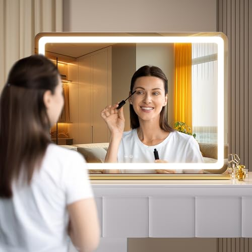 Hasipu Lighted Vanity Mirror with Lights - 22.8 x 18 Inches Dimmable LED Makeup Mirror, Touch Control, Gold