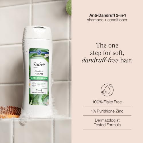 Anti-Dandruff 2-in-1 Shampoo & Conditioner for Flake-Free Hair - 6 Count
