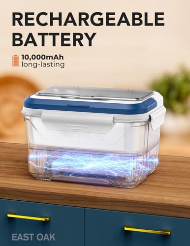 Large Blue Wireless Heated Lunch Box for Men with Timer & Removable Divider