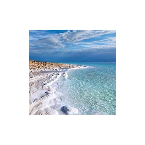 Dead Sea Soothing Hand Cream with Dead Sea Minerals 3.4 fl oz (Pack of 2) by Natural Elephant