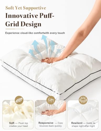 Queen Size Dual-Layer Goose Feather Down Pillow Set of 2 White
