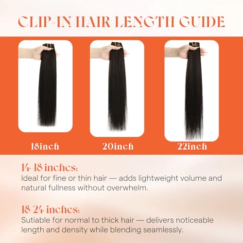 Sunny Hair Clip-In Human Hair Extensions 12 Inch Chocolate Brown Highlights P4/27