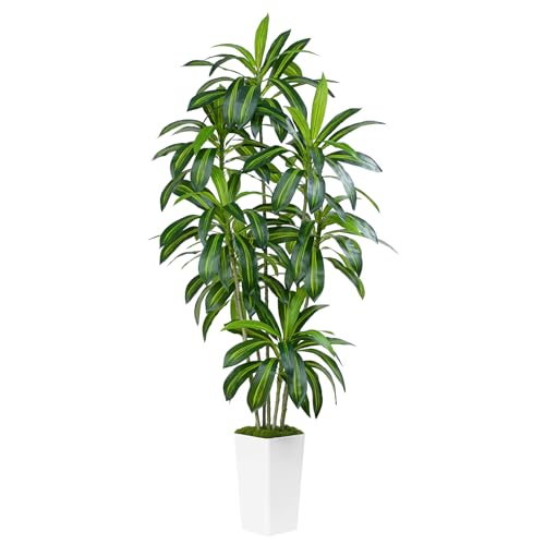 Artificial Dracaena Tree 7Ft Tall with White Planter - Real Touch Indoor Outdoor Decor
