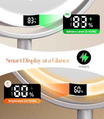 Gospire 8-Inch Lighted Makeup Mirror with 20X Magnification - Silver Variation