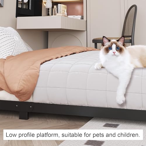 Likelalaso Twin Bed Frame 3 Inch Low Profile with Rounded Corners, No Box Spring
