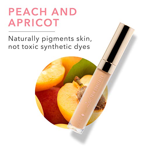 Pure Concealer Shade 4 - Medium, Hydrating, Vegan, Flawless Cover