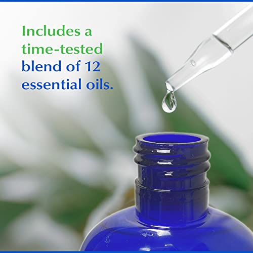 Eco-Dent Alcohol-Free Mint Mouthwash 2-Pack - 8 Fl Oz Each, Natural Oral Care
