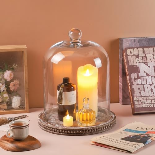 14-Inch Brown Beaded Wooden Base Glass Cloche - Farmhouse & Cottage Style Display