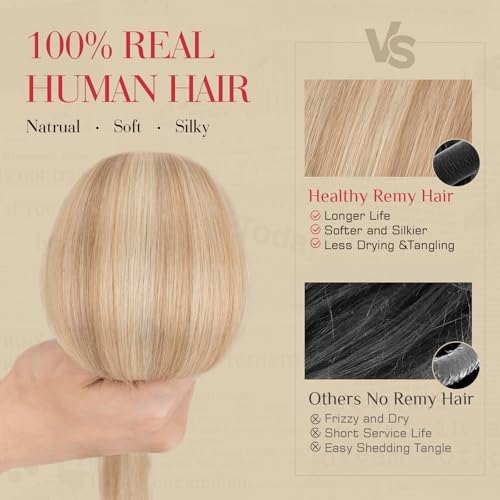 Rich Choices 10 Inch Golden Brown Highlighted Bleach Blonde Clip-In Hair Extensions - Single Clip Wefts for Thin Short Hair