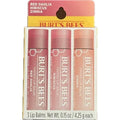 Burt's Bees Tinted Lip Balm | 3 Lip Balms - Red Dahlia, Hibiscus, Zinnia