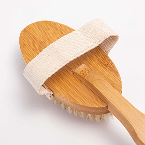 Dry Brushing Body Brush Set for Skin Exfoliation & Toxin Removal - Long Handle Back & Face Brush Bundle