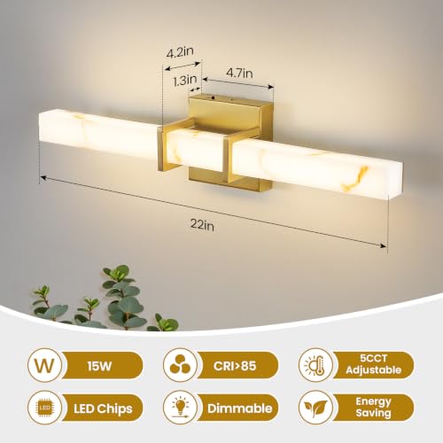 LED Bathroom Vanity Light 22 Inch Dimmable 5-Color Temp Over Mirror Fixture
