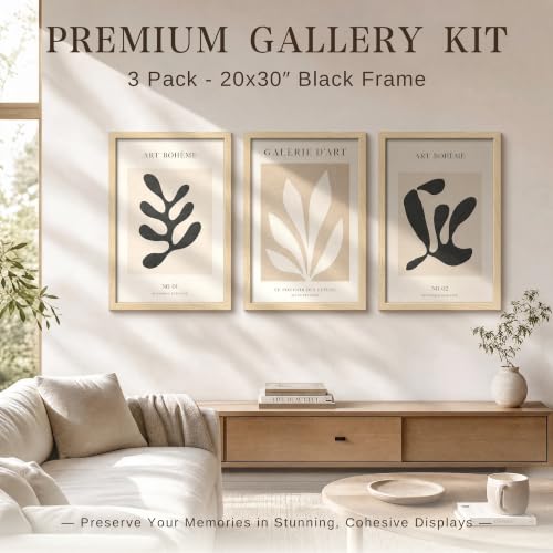 VCK 20x30 Poster Frame Set of 3 - Natural Solid Wood Wall Hanging