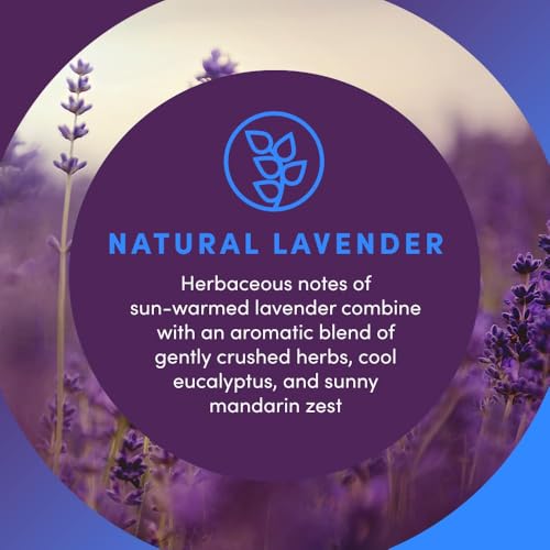 Clean Revolution Lavender Liquid Gel Hand Soap Refill 128 Fl Oz (4 Pack) – Moisturizing, Sulfate-Free, Natural Essential Oils