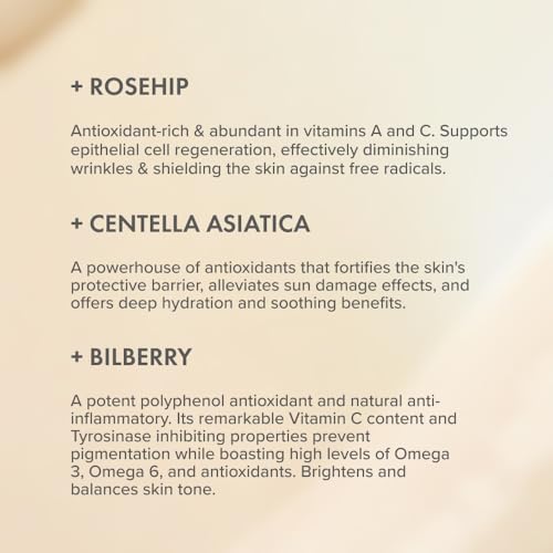 Organic Rose Rejuvenating Face Cream - Anti-Aging Moisturizer with Rosehip & Centella, 50ml