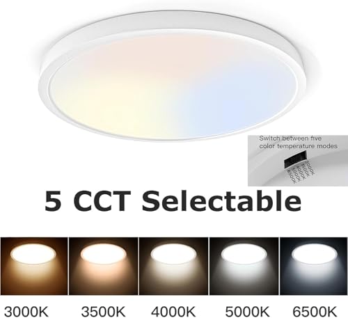TALOYA 15.8 Inch White Flush Mount LED Ceiling Light, 2-Pack, 5CCT Adjustable