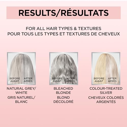 L'Oreal Paris Le Color Gloss One Step In-Shower Toning Hair Gloss - Silver / 4 Fl Oz (Pack of 2)