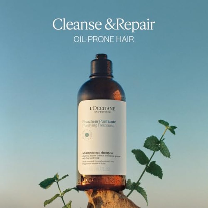 L'OCCITANE Purifying Freshness Shampoo.: Helps Reduce Excess Sebum, For Normal to Oily Hair, Without Silicone, Refill Available