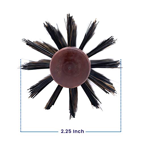 Large Round Boar Bristle Hair Brush for Styling and Volume - Wooden Handle, 2.25 Inch